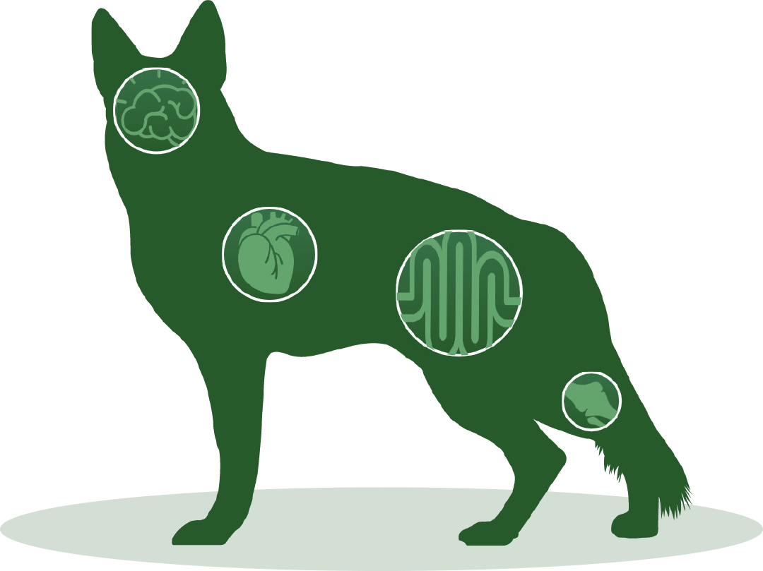 Premium Science-Backed Formula for Holistic Care