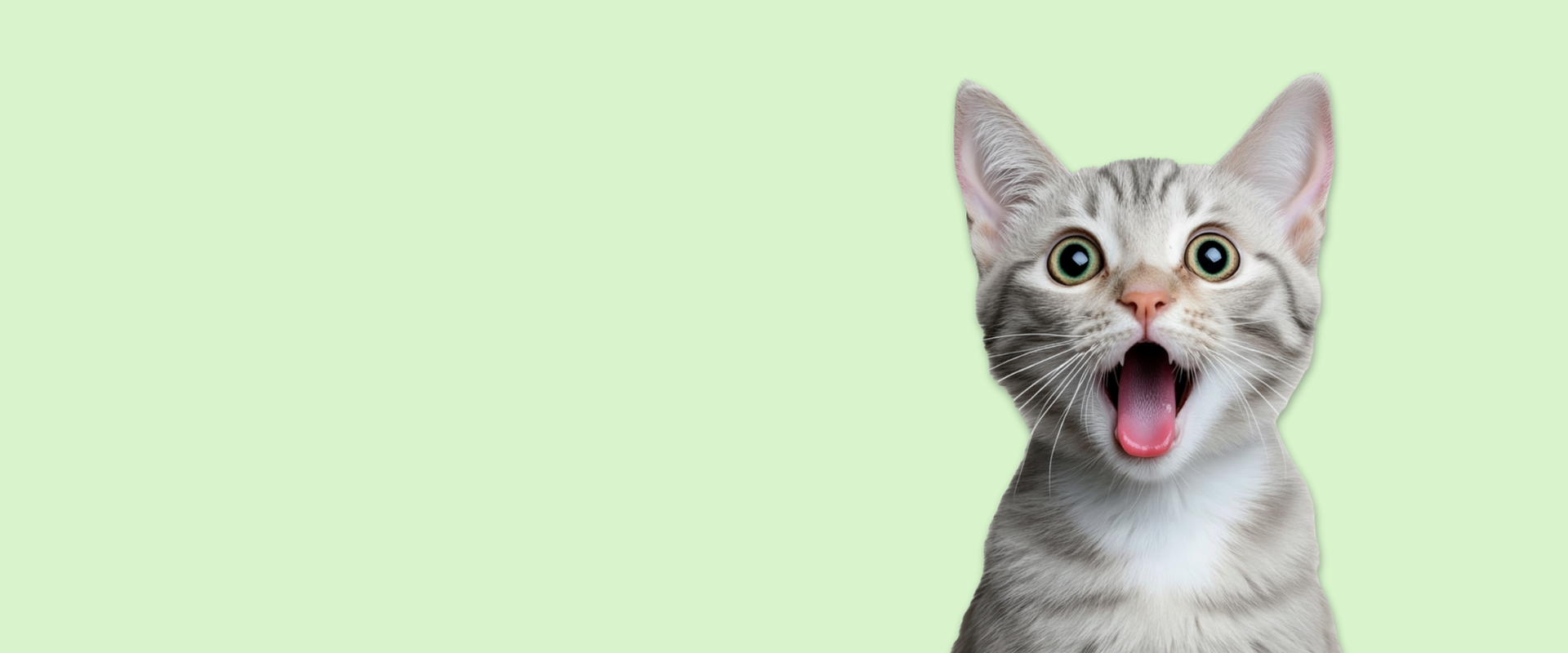 For Cats - Nature Magic