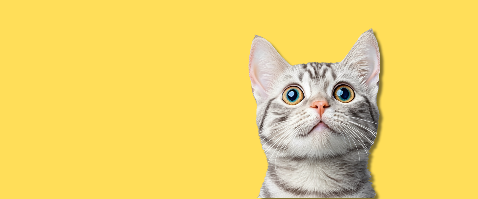 Grain Free For Cats - Nature Magic