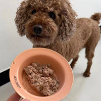 Customer_Review_Zeno