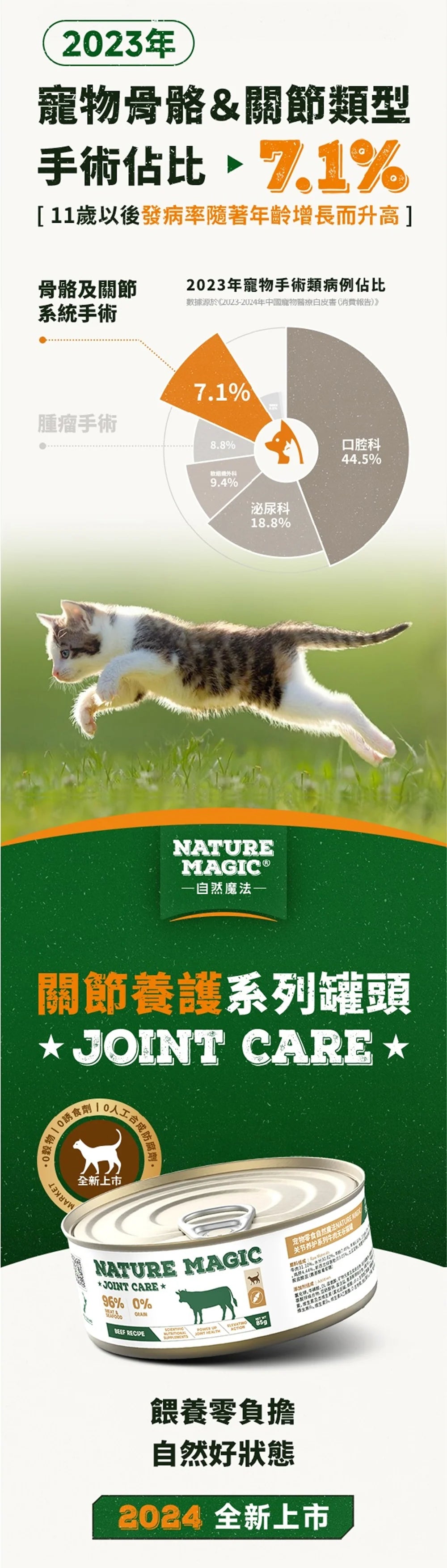 Joint Care For Cats Problem