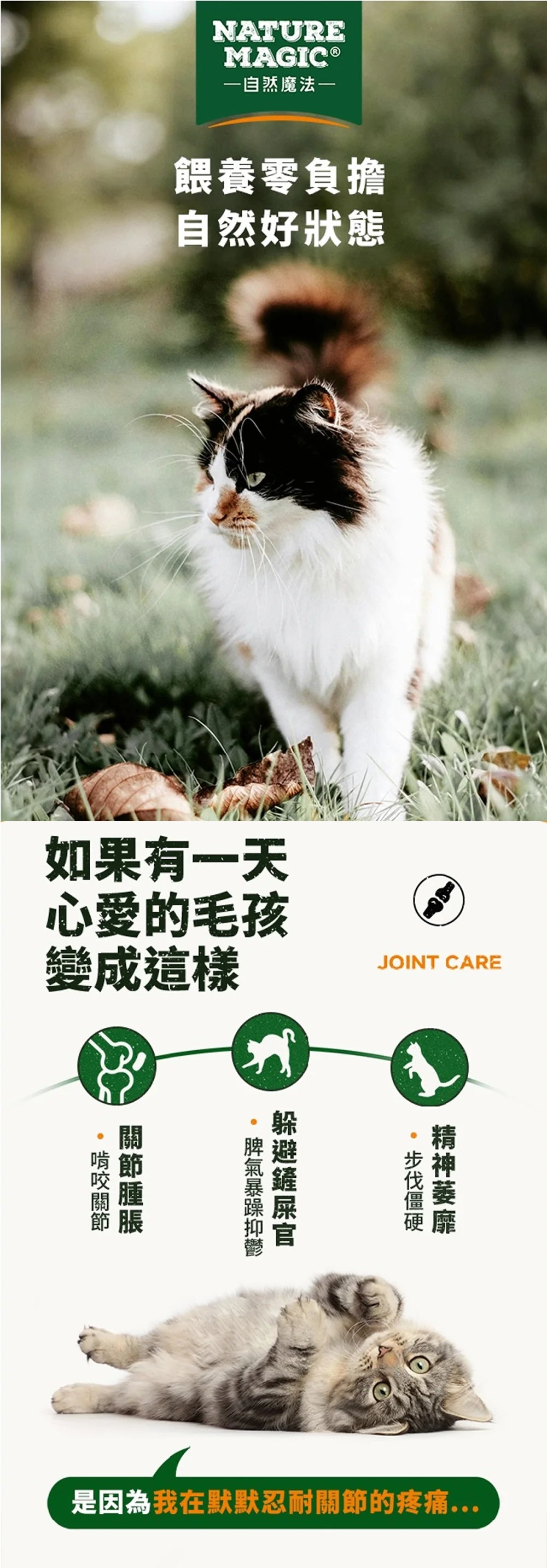 Joint Care For Cats Products Cover