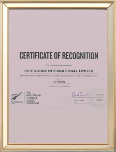 Certificate of Recognition