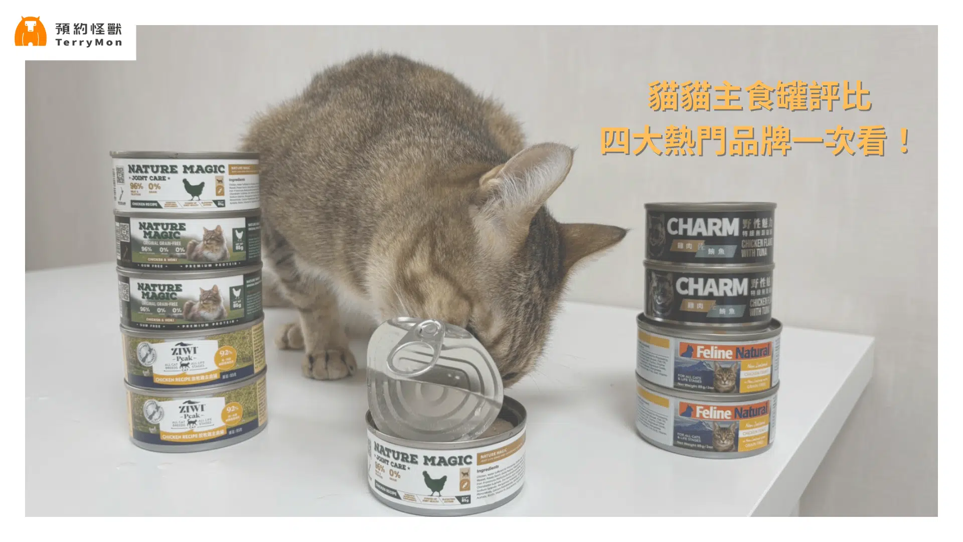 TerryMon reviews and testimonials