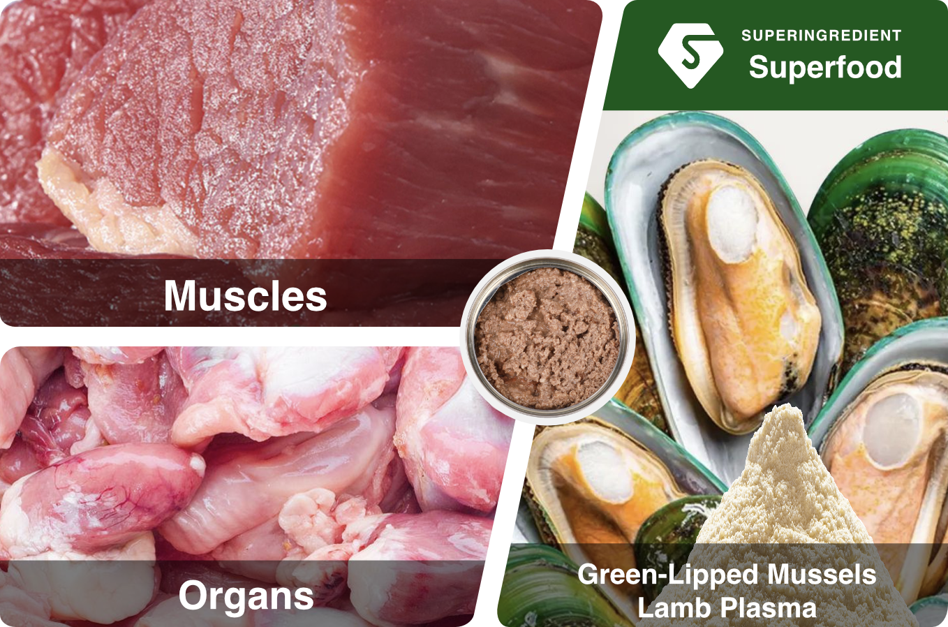 Superfood Ingredients